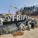 트리피아 더에코 키즈풀빌라 이미지