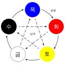 수생목 | 티빙 TVING 넷플릭스 NETFLIX 영화 다시보기 스트리밍 “파묘” 시청 후기