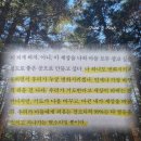 나이 오십에 청소노동자 책 | 송은주 책 후기 | 사랑은 책으로 쓰는겁니다 추천 리뷰 핵심 요약
