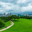 초원의 빛 이미지