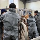 장수한우지방공사(유전자뱅크) 이미지