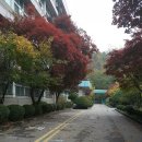 원터로 94번길 이미지