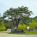 신록1로 이미지