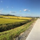 에코원흑염소 이미지