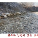 장터떡방아간