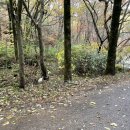 설천면032 이미지