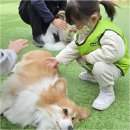 꿈이크는어린이집 이미지