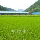 소 키우던 '농부'가 '사장'이 된 사연