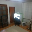 신풍식당 Daum카페