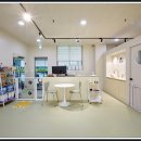 펫 노리터 이미지