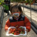 현이농장 이미지