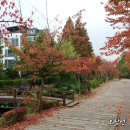 상동도서관 이미지