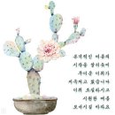 인사말 이미지/수박 인사말 이미지 외.. 이미지