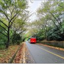 하봉마을 이미지