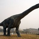 공룡박물관 이미지