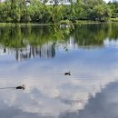 천천 공인중개사사무소 이미지