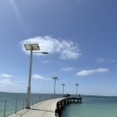 로드메디칼 | 호주트라벨 널싱 후기! 서호주 리저널 시골 병원 6주 계약 에이전시 널싱 후기