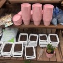 공덕초교병설유치원 이미지