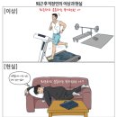 365비타민약국 이미지