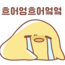 벨르아미헤어 서대문구연희점
