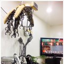 까까머리미용실 이미지