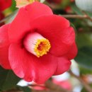 부자농장2 이미지