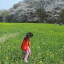 나비야함평가자 이미지