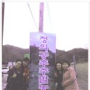 김정자농장 이미지