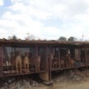 동우농장 이미지