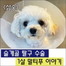 삼송사랑 동물의료센터 이미지
