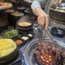 청룡갈비 | 에버랜드 봄꽃 기록 🌸 튤립 + 벚꽃 포토스팟 후기