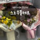 스노우플레르