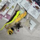 베베캣 | [용품] 사용해 본 고양이 용품 리스트 ② (장난감, 쿠션, 캣타워 등)