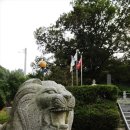 3.1운동비 이미지