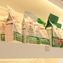 바우애견 이미지