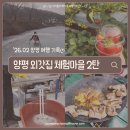 외갓집민박 | 2월 양평 외갓집체험마을 2탄ㅣ 서울 근교 농촌체험 딸기농장 얼음썰매 솥뚜껑 삼겹살먹기