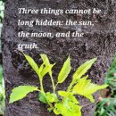 Fun Fun 영어 놀이터 (A) 이미지