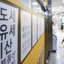 10차 방정식 된 보유세, '양포 세무사' 재등장할 판 이미지