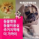 고려동물병원 미용실 이미지