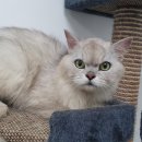 동부지구대 이미지