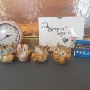 뉴롯데공인중개사사무소 이미지