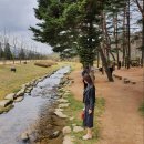 예촌한우목장 | [평창 여행] 켄싱턴호텔 평창 다녀옴, 주말에 가볼만한 곳! - 객실, 켄싱턴가든, 미드나잇펍 패키지