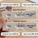 다이소곡성점 | 얼리 임테기 정확도 높이는 시기! 다이소·편의점·스마일·슈얼리 비교 (저녁 시약선 구별법)