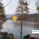스마일민박 Daum카페