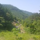 성산면사무소 버스정류장 이미지