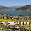 지리산(광주) | 구례 지리산 치즈랜드 수선화 입장료,주차 꿀팁!! 광주근교 주말 아이랑 다녀온 후기!