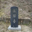 비파산성 Daum카페