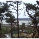 아잘리아그린 이미지