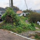 외포항1 이미지