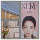 부산 xerf 세르프 후기(해운대 에스더의원)